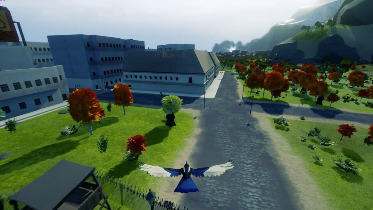 Copoka thumbnail 4