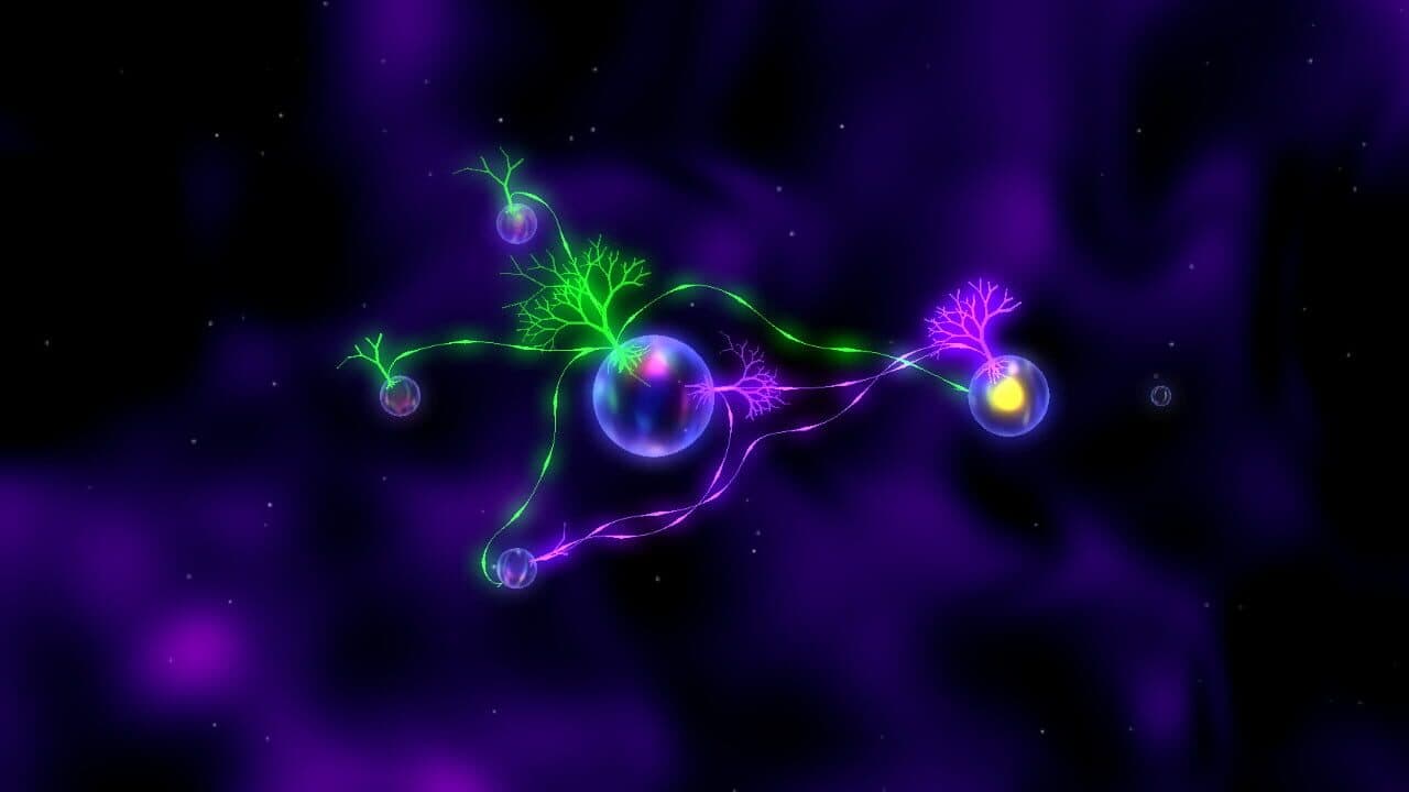 R.O.O.T.S thumbnail 2