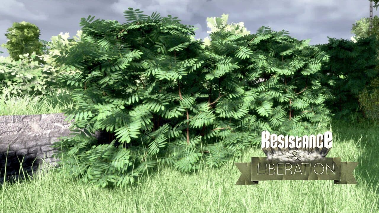 Resistance and Liberation thumbnail 3